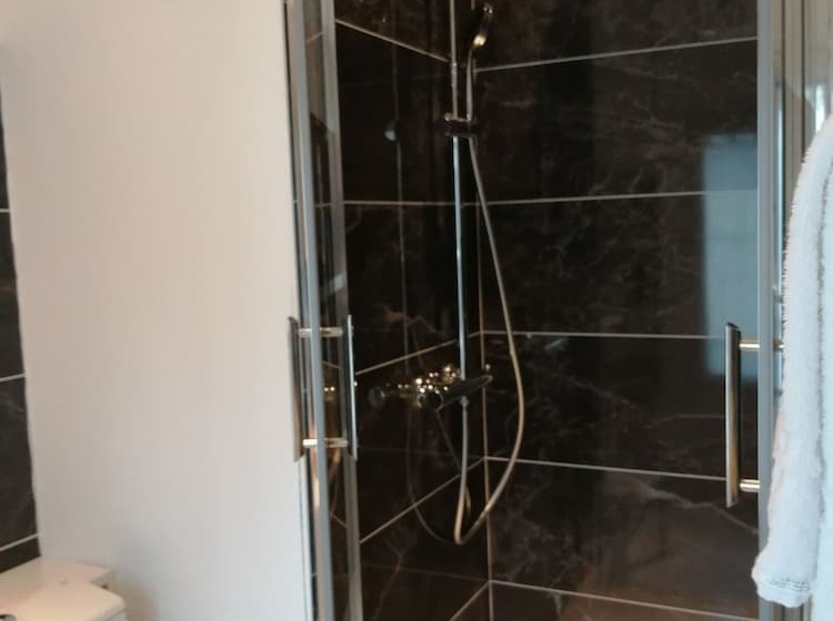 适合残疾人使用的标准间, Du Cygne Tours