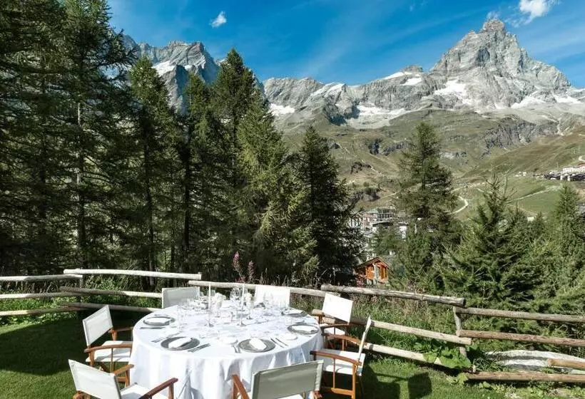１ベッドルームアパートメント, Saint Hubertus Resort