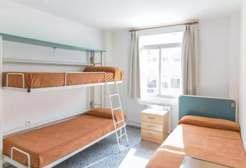 تختخواب در اتاق مشترک, Albergue Inturjoven Granada
