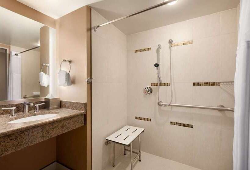 Standard Room King Bed Adapted for people with reduced mobility, Hilton Istanbul Bomonti Hotel & Conference Center