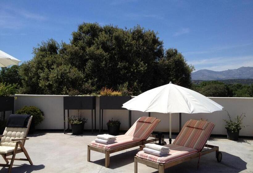 주니어 스위트, Rusticae El Hotelito