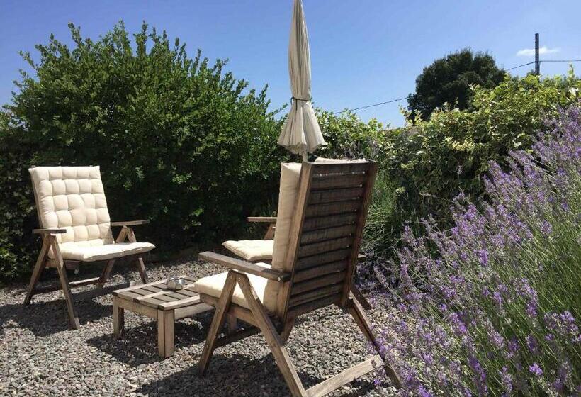 주니어 스위트, Rusticae El Hotelito