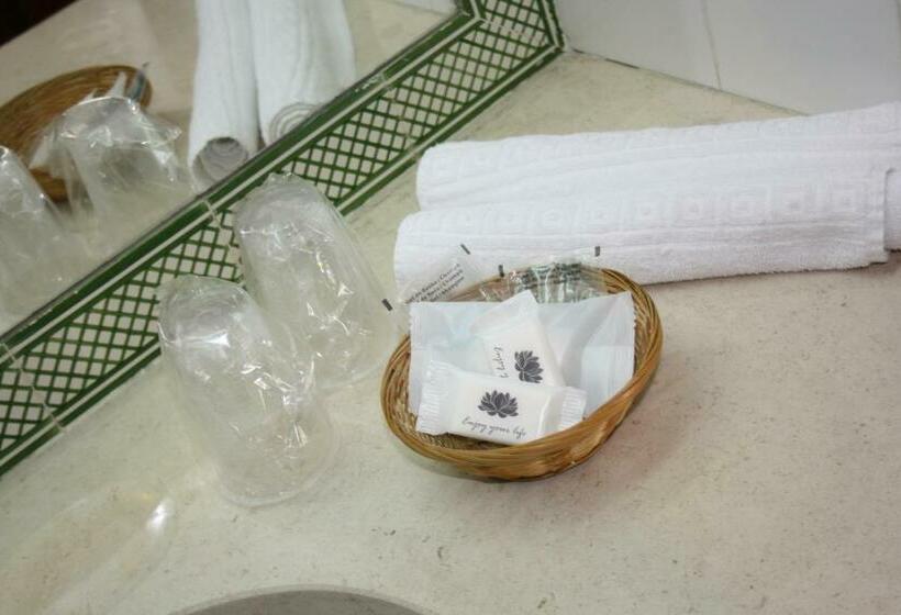 풀장 전망 싱글룸, Flag Hotel Santarém