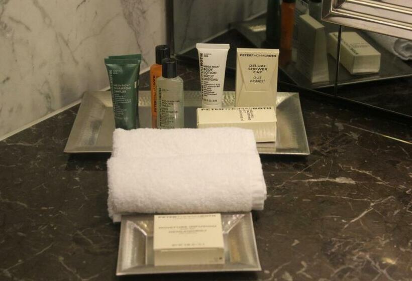 身障者適用キングサイズベッドルーム, Hilton Istanbul Bomonti Hotel & Conference Center