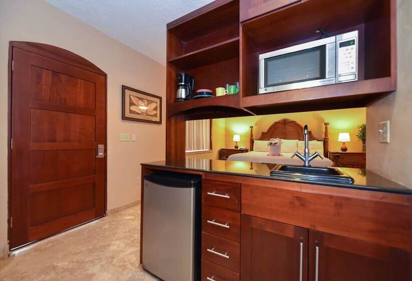 استودیوی پریمیوم, Infinity Bay, Spa & Beach Resort