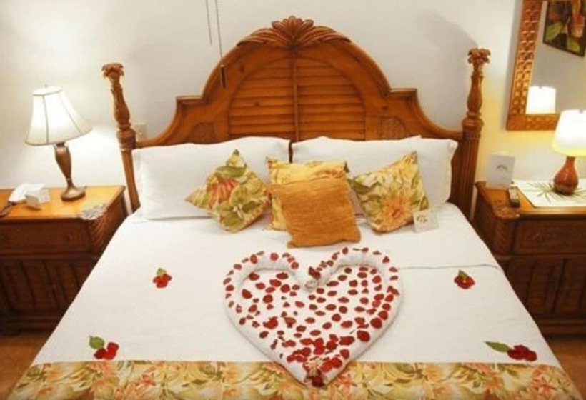 استودیوی پریمیوم, Infinity Bay, Spa & Beach Resort