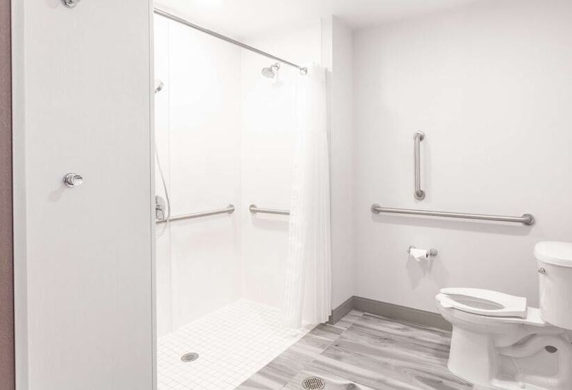 장애인을 위한 더블 침대 스탠다드 룸, Hilton Garden Inn Broomfield Boulder