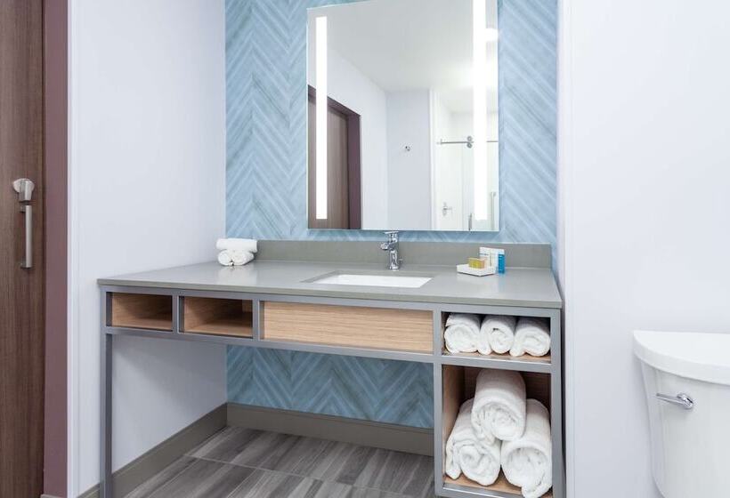 장애인을 위한 더블 침대 스탠다드 룸, Hilton Garden Inn Broomfield Boulder