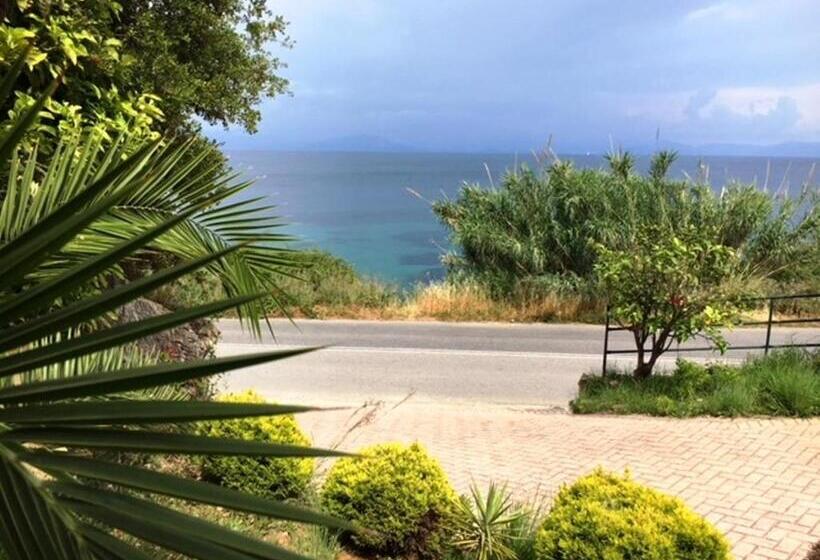 低层单卧公寓, Aurora Beach