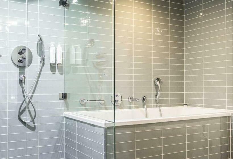 غرفة قياسية داخلية, De Hallen