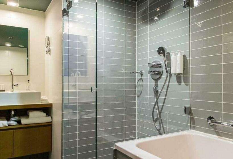 غرفة قياسية داخلية, De Hallen