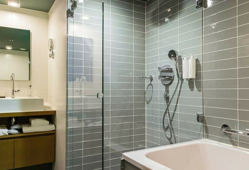 غرفة قياسية داخلية, De Hallen