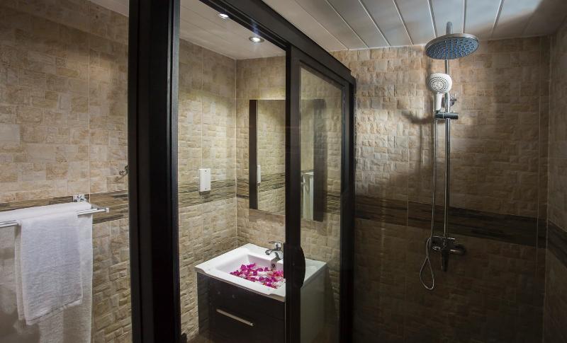 غرفة قياسية, De Hallen