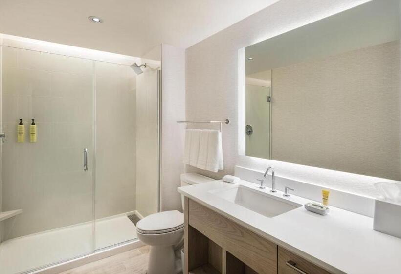 إستوديو قياسى سرير كينج, Element San Jose Airport
