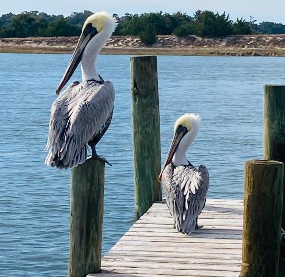 חדר דלוקס, Waterway Inn