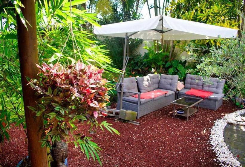 اتاق استاندارد با چشمانداز استخر, Casa Babalahy