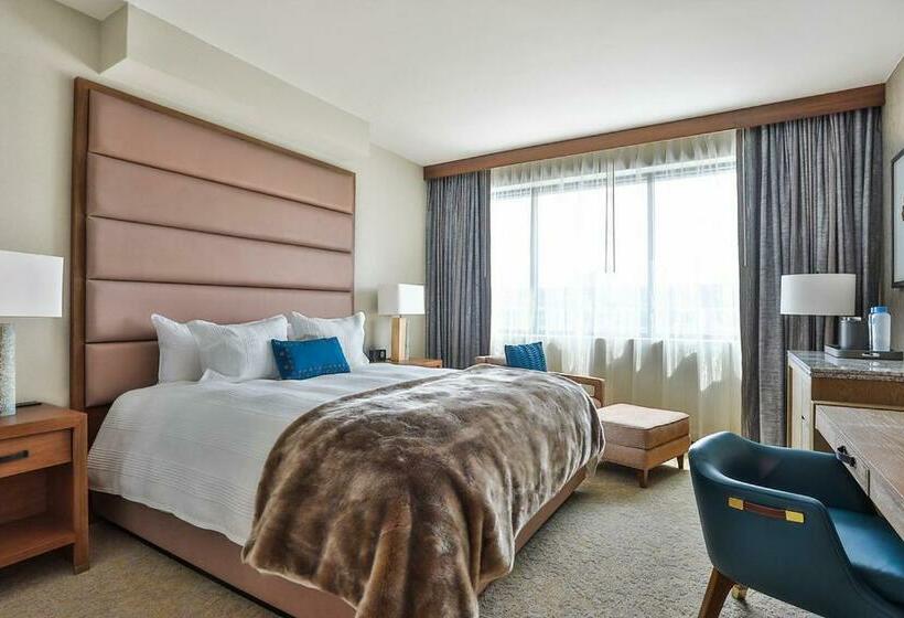 带大床的标准间, Drey