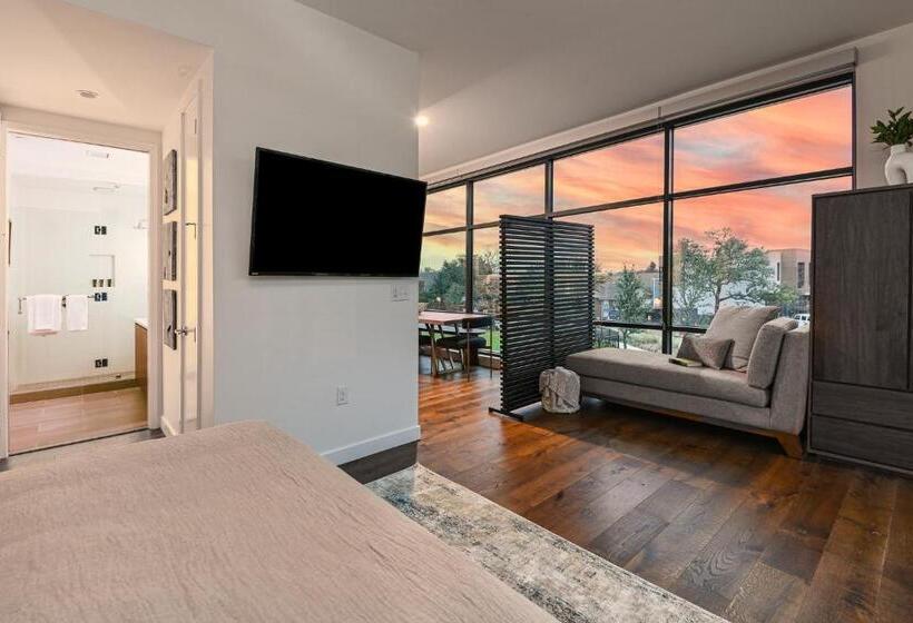 标准工作室带阳台, Drey