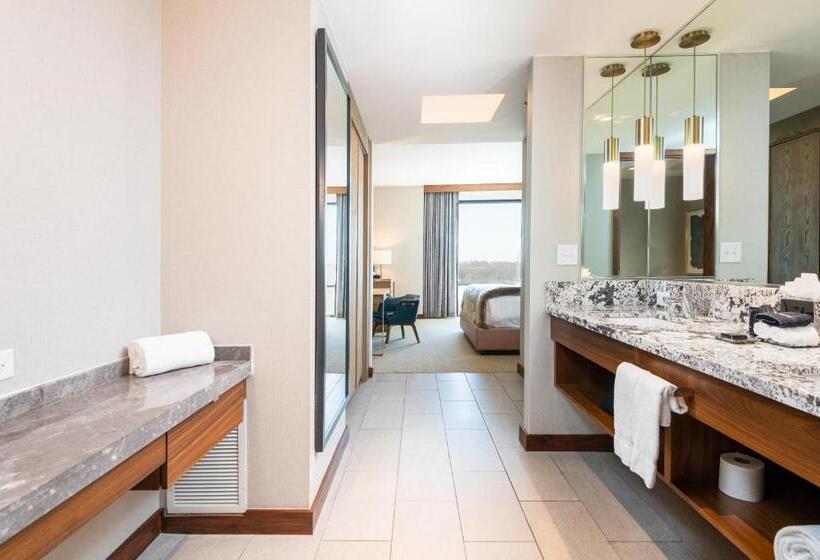 带大床的标准间, Drey