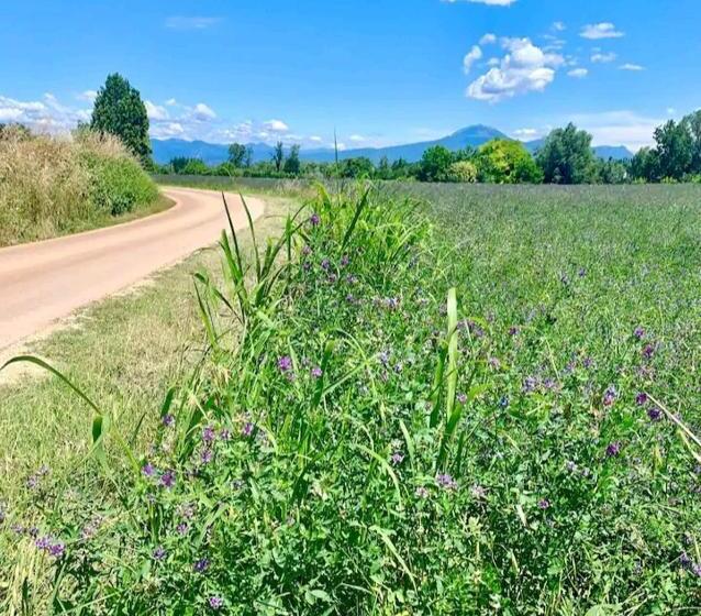 Номер Дюплекс, Zanina Country House