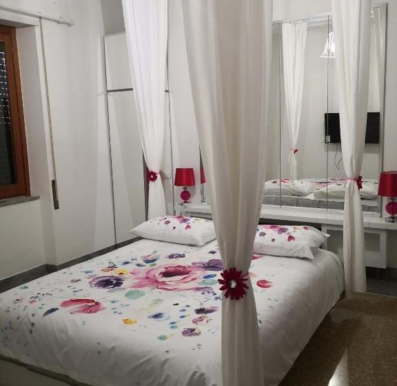 Номер Стандарт, Babbo Maison
