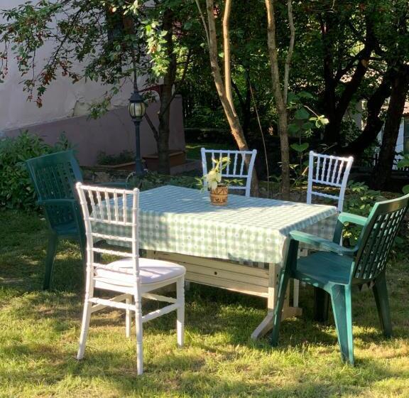 テラス付き１ベッドルームアパートメント, Vila Zia