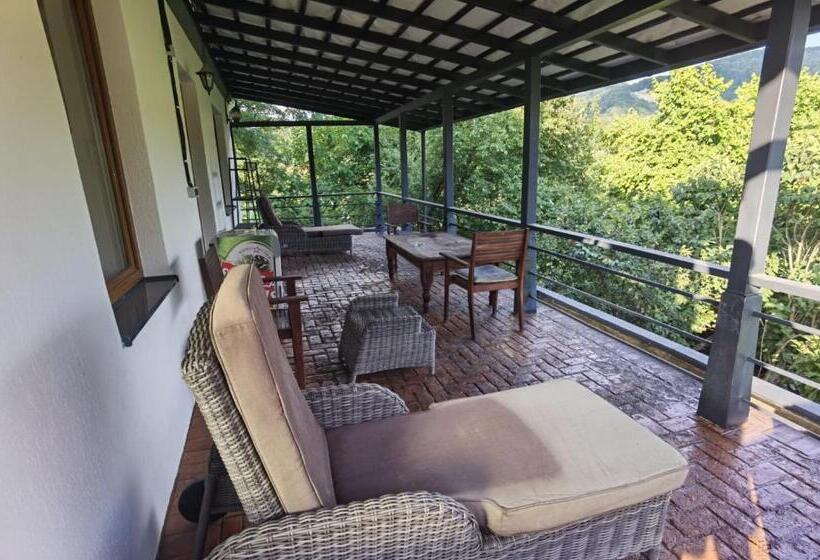آپارتمان 1 خوابه با تراس, Vila Zia