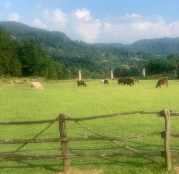 １ベッドルームハウス, Vila Zia