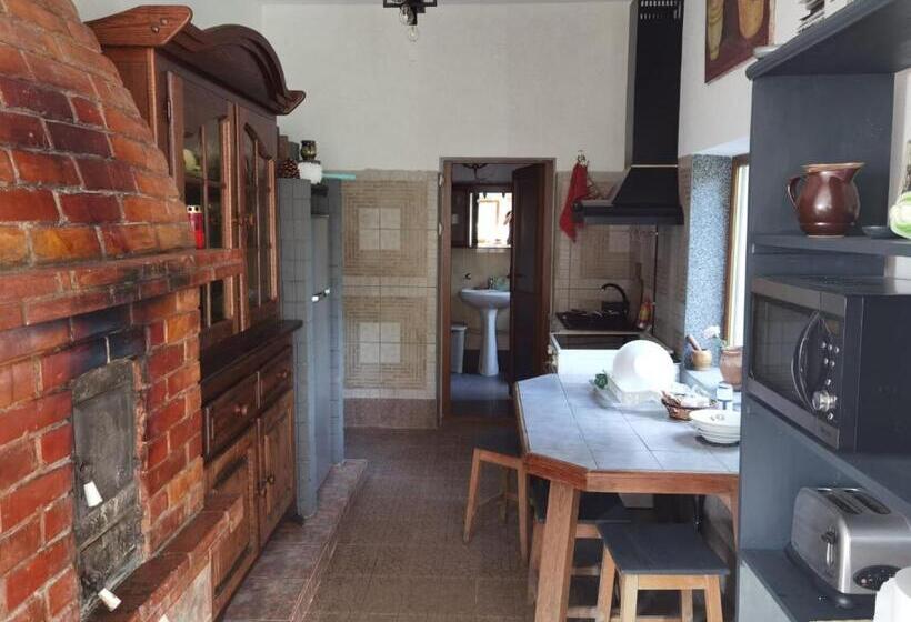 庭の見える１ベッドルームアパートメント, Vila Zia