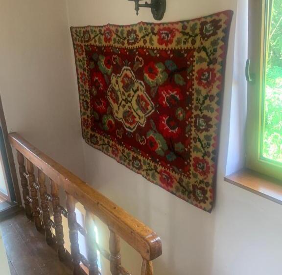 テラス付き１ベッドルームアパートメント, Vila Zia