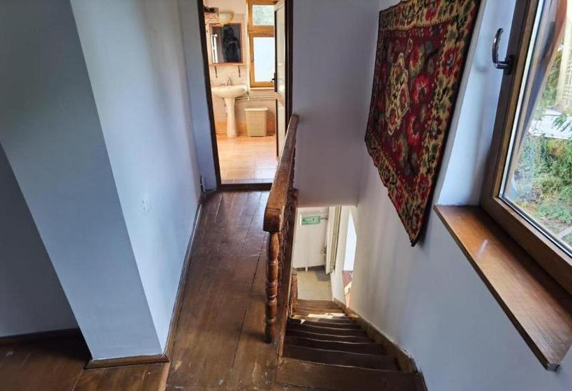 テラス付き１ベッドルームアパートメント, Vila Zia