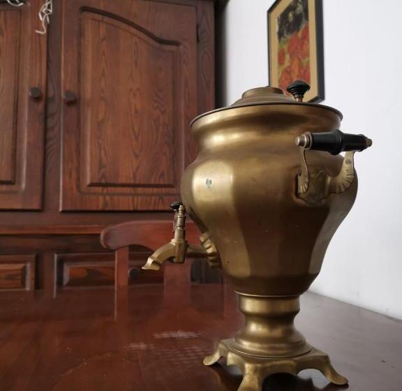 庭の見える１ベッドルームアパートメント, Vila Zia