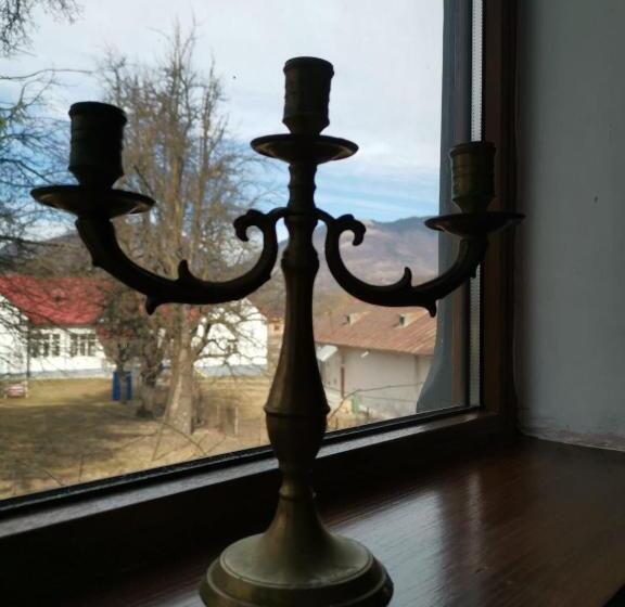 テラス付き１ベッドルームアパートメント, Vila Zia