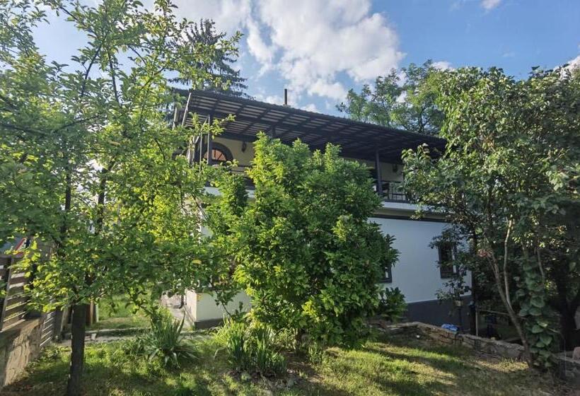 テラス付き１ベッドルームアパートメント, Vila Zia