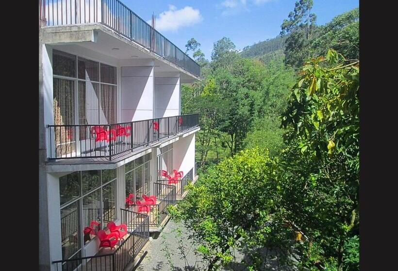 غرفة قياسية مطلّة علي الحديقة, Slightly Chilled