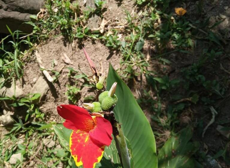 Suite Flussausblick, Pousada Chácara Lumiar