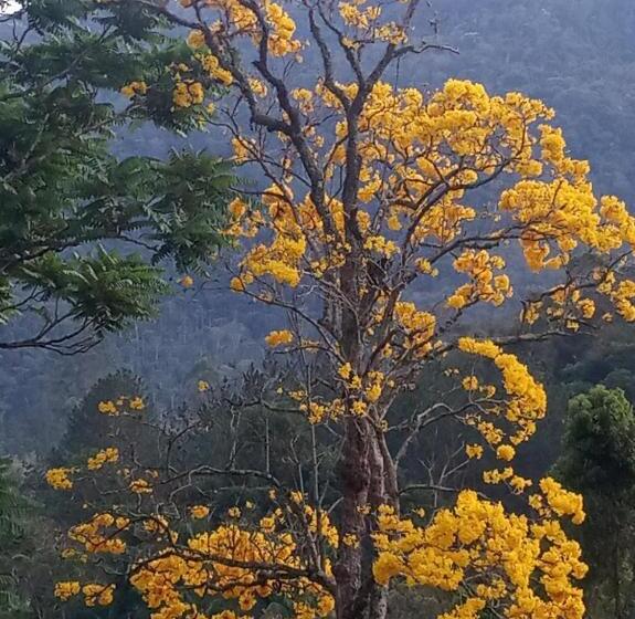 Suite Flussausblick, Pousada Chácara Lumiar