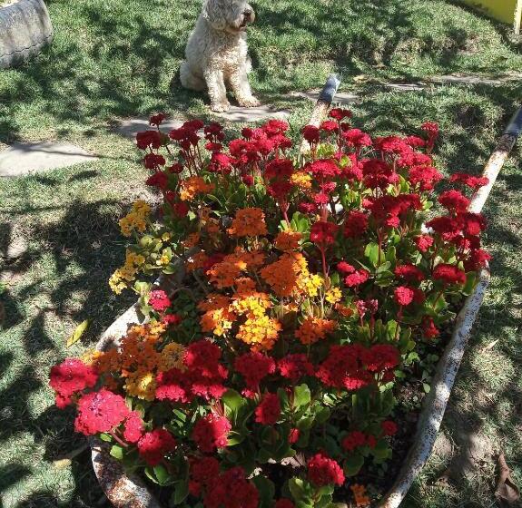 Suite Flussausblick, Pousada Chácara Lumiar