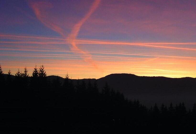 标准间带阳台, Pension Haus Waldesruh