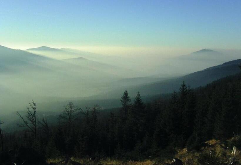 带1个卧室的公寓, Pension Haus Waldesruh