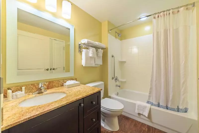 クイーンベッドのスタンダードスタジオ, Towneplace Suites Farmington