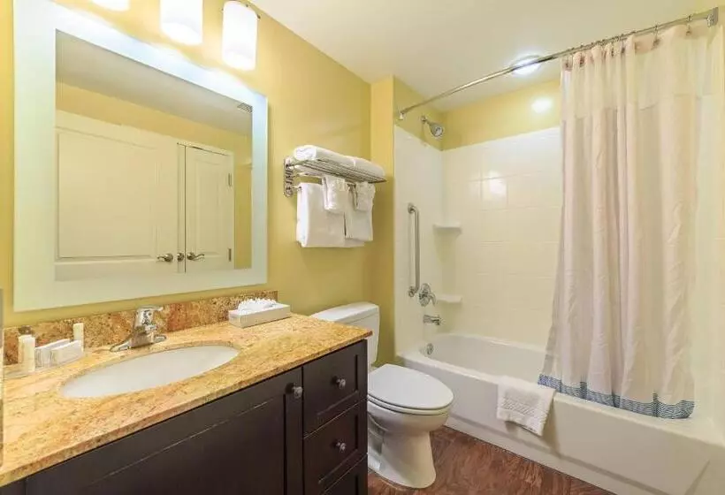 キングサイドベッドのスタンダードワンルーム, Towneplace Suites Farmington
