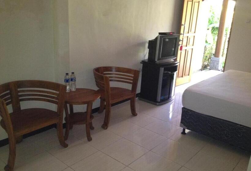 חדר סטנדרט, Astina