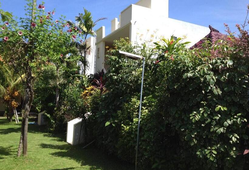 חדר סטנדרט, Astina