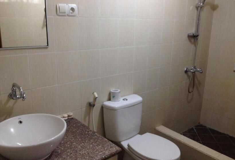 חדר בסיסי, Astina