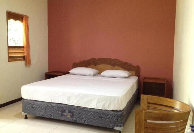 חדר בסיסי, Astina