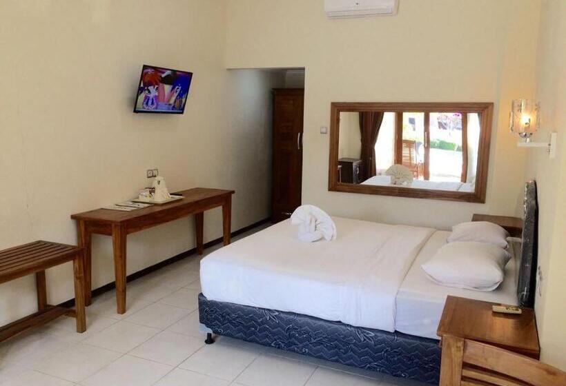 חדר סופריור, Astina