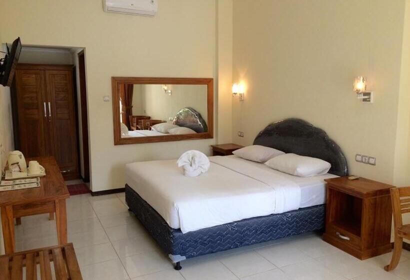 חדר סופריור, Astina