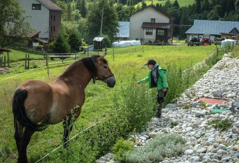 خانه 2 خوابه, Spring Chalet
