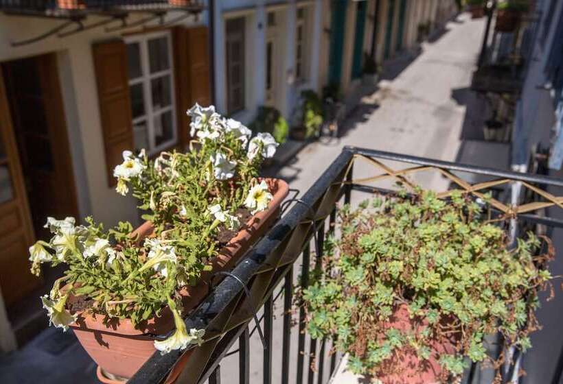 غرفة سوبيريور, Dias